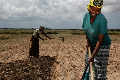 “Quest for Sustainability” A Poetic Journey Through South African Farming Practices